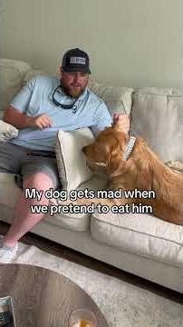 Pranking My Dog By Pretending To Eat Him🤣🐶 #fannydog#dogshorts #dog