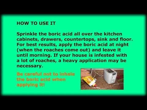 How to kill roaches with boric acid.