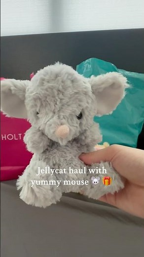 Jellycat haul with yummy mouse 🐭 🎁 #fyp #jellycat #haul #toronto #jellycatcollector