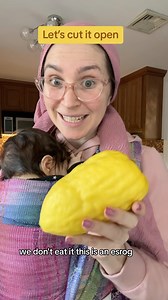 Miriam Malnik-Ezagui on Instagram: "What is inside and esrog?! #esrog #jewish #judaism #fruit"