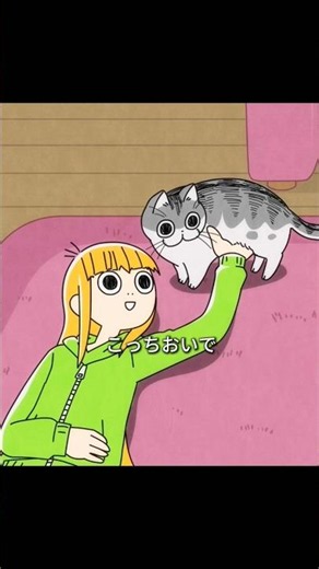 猫たちはこの世でいちばんかわいい存在だ。