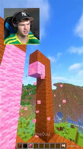 Я Построил Дом для Зайчика, НО…💔🐰 #shorts #шортс #minecraft #майнкрафт #майн #постройка #мем #грусть