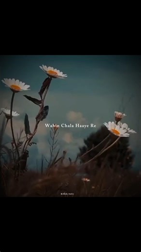 Monta Re Song | Status Video | Lyrics Video |#shorts #ytshorts #trending #songs