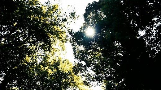 【みんなで創り上げた「VR旅行」高齢者施設でついにお披露目！】 福祉領域におけるVRやARなどのXRテクノロジー活用の可能性を発信することを目的とした「VRを活用した未来の福祉プロジェクト」。その第一弾として今年3月より、Meta日本法人Facebook Japan、福祉分野におけるXR活用の研究を行う登嶋健太氏、そして神戸市が連携して、VR空間で疑似旅行を体験できる「VR旅行」を自由に外出することが難しい高齢者の方々に楽しんでいただくために、VRコンテンツ撮影のワークショップを行ってまいりました。 ワークショップの模様はこれまでもご紹介してきましたが、8月1日についに完成したVR旅行のコンテンツを神戸市内の特別養護老人ホーム「六甲の館」にてお披露目し、施設入居者の方々向けに「VR旅行体験会」を開催しました。体験会当日の模様を動画にまとめましたので、ぜひご覧ください！ これまで開催された「VR旅行」のコンテンツを撮影するワークショップには、神戸市垂水区にお住まいのアクティブシニアの方々を中心に12名が参加。神戸市垂水区の職員の方々や大学生ボランティアの方々にもご協力いただき、活動を重ね