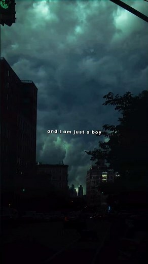 Line Without a Hook - Ricky Montgomery | She's She's Lady And I'm just a boy lyrics status #lyrics