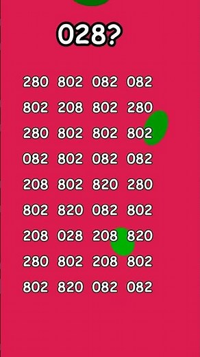 "Solving the Mystery: Find 028 Puzzle Challenge"