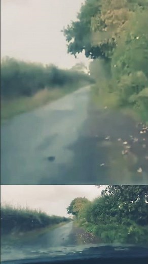 Rain Sounds for Relaxation & Sleep - Countryside ASMR