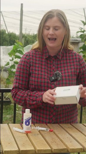 How to De-worm Your Chickens Easily #backyardfarming #backyardchickens #chickens