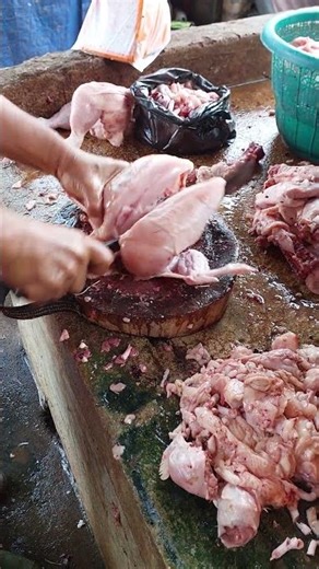 The Fun of Chopping Chicken