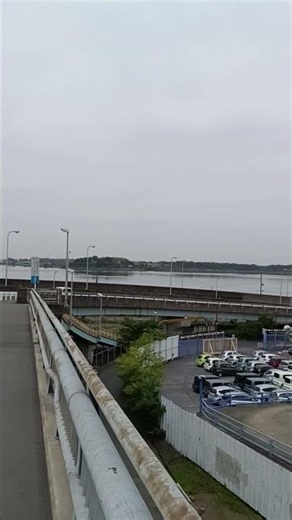#牛久沼#龍ヶ崎市#白鳥通り#チャリで来た