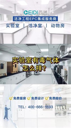 实验室有毒气体怎么排？通排风系统设计指南 通风橱药品柜配齐，强挥发实验加吸顶排风！生物安全实验室，上送下排排净污染空气！#实验室通风设计 #通风橱 #生物实验室净化 #实验室安全防护#实验室建设