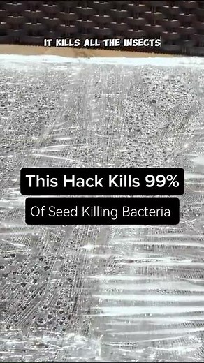 Solarizing Soil: The Secret to a Pest-Free & Healthy Garden! 🌞🌱 #Shorts