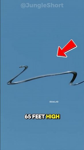 🐍 Snakes That Can Fly?! - The Reptiles That Glide Through the Air 😱