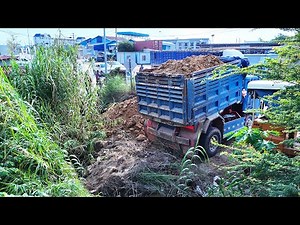 Unbelievable teamwork! What a great work pushing skills bulldozer operator filling land with soil