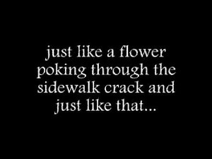 Uncle Kracker - Smile Lyrics