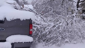How to remove snow from your trees during a wet spring storm