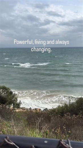 The ocean is unpredictable ever changing and full of life. These shifting conditions shaped marine ecosystems and continue to thrive beneath the surface. Conservation begins with understanding and protecting what already exists. Follow MCN to stay connected to the living ocean. #marineconservation #protectouroceans #marineconservationnetwork #saveourseas | Marine Conservation Network