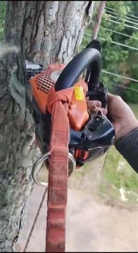 The Daily Grind: Tree Work Around Power Lines#Arborist #Arborists #ArboristLife #TreeWork
