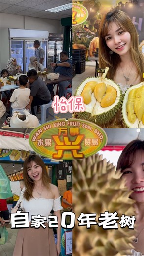 Jenny Chan perodua on Instagram: "终于轮到我吃榴莲啦！！！🥹💛 📣 我先讲清楚，这家榴莲 全部是自己果园种的 🌳 👉 树龄 20 年以上老树 👉 🍃 自然熟，自己掉下来，不是催熟那种 OK！ 今天有 黑刺 + 猫山王 你们站哪一派？😏 我本人 👉 猫山王派 他们帮我选的这颗真的很 jeng 一口下去是我爱的那种 苦酒味 吃完会回味、会发呆那种 😮‍💨✨ 不过你们看这个 黑刺 颜色美到不行，橙黄色的 🧡 懂吃的一看就知道很稳 第一次吃 五指果 原本没抱太大期待 结果……哇 😳 奶香味很重，意外好吃！ 我还特地拿一点回家给陈记吃 他吃到几开心你知道吗 😂 那种“哇这个可以哦”的脸 ⚡ 重点是： ✔ 每天现开现卖 ✔ 超！多！人！ ✔ 还看到友族也来吃 感觉每一颗开出来都美美的 ✨ 他们还有 kampung 榴莲 榴莲控真的会疯 🥹 📍就在怡保 Taman Ipoh Jaya 📣 快点 share 给你家人朋友 约一波一起去试！ 📍 WAN SHI XING FRUIT SDN BHD (IPOH DURIAN) 89,