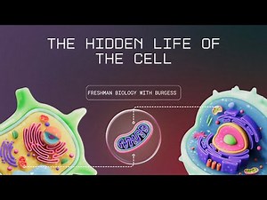 The Hidden Life of the Cell