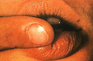 Zipper Morals: Walerian Borowczyk's 'Immoral Tales' » PopMatters