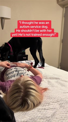 Training an Autism Service Dog for Kids