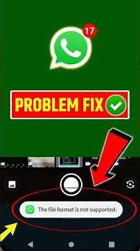 How to fix the file format is not supported Whatsapp problem #shorts #whatsappproblem #viralvideo