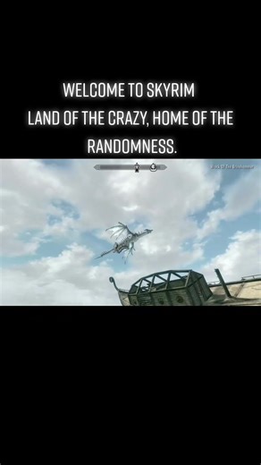 Exploring Skyrim: A Realm of Randomness