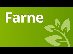 Merkmale der Farne | Biologie | Biologie der Pflanzen und Pilze (Mittelstufe)