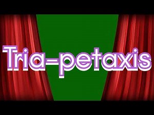 Numbers 0 to Absolute infinity (2.0)