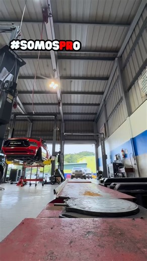 Pro Alignment on Reels