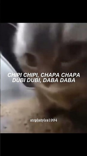 "chipi chipi, chapa chapa, dubi dubi, daba daba" | Christell - Dubidubidu (letra)