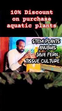 10% discount on purchasing aquatic plants #foryou #aquaticplants #bunnycart