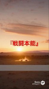 『衝撃』勝つのはパワー？頭脳？自然界の王者が決まる #動物 #動物バトル #野生の世界 #自然の戦い #自然界 #野生動物 #頂上決戦 #vs #動物の戦い #迫力映像 #shorts