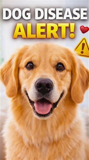 This Dog Disease Can Kill You