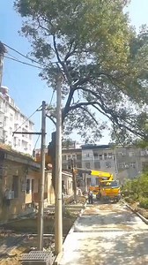 80M views · 115K reactions | #funny #meme #humor #fyp #foryou #foryoupage #justforfun #meme #freddy #fnaf #water #park #funny #meme #fyp #viral #xyzbca | Machinery Construction | Facebook