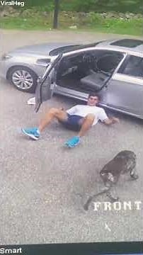 Watch: Excited Dog Knocks Down Man During Game Of 'Fetch'