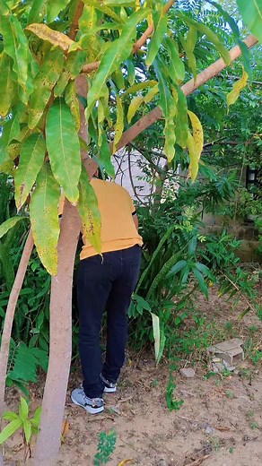 Dios es tu compañero y tu amparo #Dios #palabradeDios #oracion #Diostebendiga #Dios | evangelistanilson95