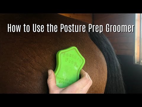 HOW I USE THE POSTURE PREP CROSS FIBER GROOMER: Massaging the Horses while Grooming | Equestrian