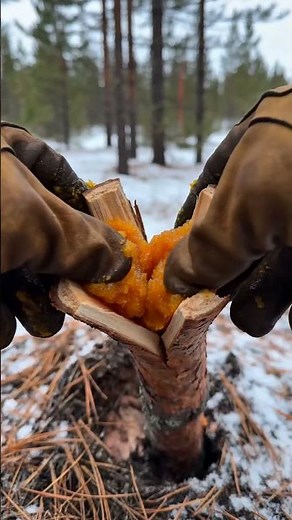 How to Build a Split-Log Pine Torch for Extreme Winter Survival