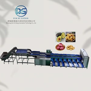 [Hot Item] Dual-Channel Weight Sorting Equipment, Vegetable Grading and Classification Machine