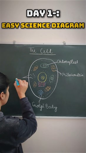 Basic Structure of 'The Cell' Easy Diagram