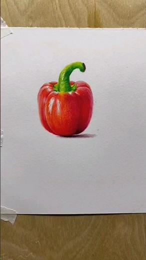 How To Draw Capsicum | Drawing Realistic Red Bell Pepper With Color Pencils #shorts #capsicum #draw