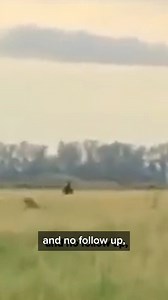 249K views · 1.8K reactions | Bigfoot sprints across an open field | ParanormalWarehouse.com | Facebook
