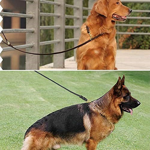 4847265df54b49199cf3143d1be5e641