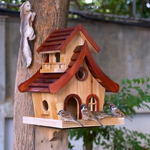 Turn simple wood into a charming bird feeder with this easy DIY project. Perfect for beginners and nature lovers! #DIYBirdFeeder #WoodCrafts #BirdFeederIdea #DIYWoodworking #NatureDIY | Woodworking Tools