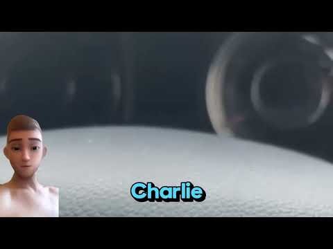 Irish Traveller feud brother vs brother