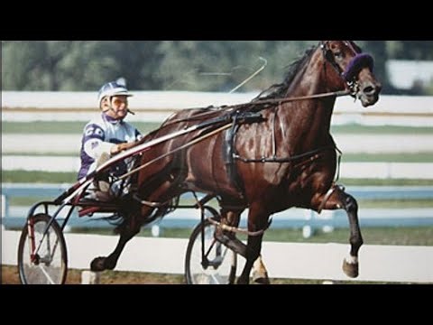 Niatross 1:49.1 World Record Time Trial (10/1/1980)