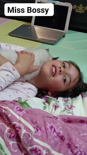 19K views · 80 reactions | Happy Missy and happy Mr Grumpy the Ragdoll cat. #lol #cat #kids | Miss Bossy | Facebook