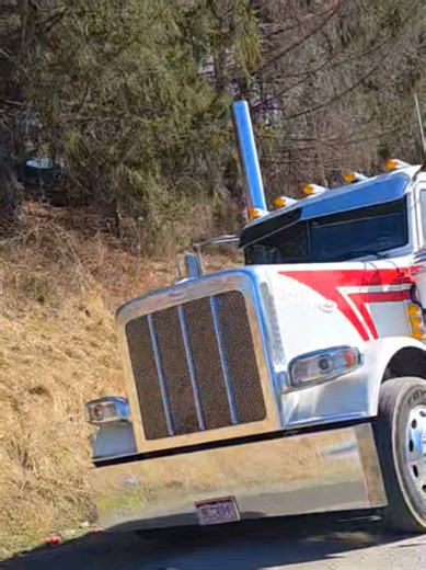 Classic Peterbilt 389 power on the highway, hauling cows with style and strength.#peterbilt#hauler#peterbilt389